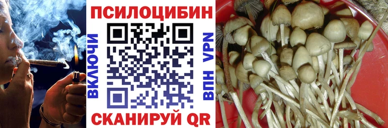 Купить  Белокуриха  Галлюциногенные грибы GOLDEN TEACHER 