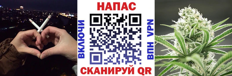 Купить где  Белокуриха  Марихуана план 